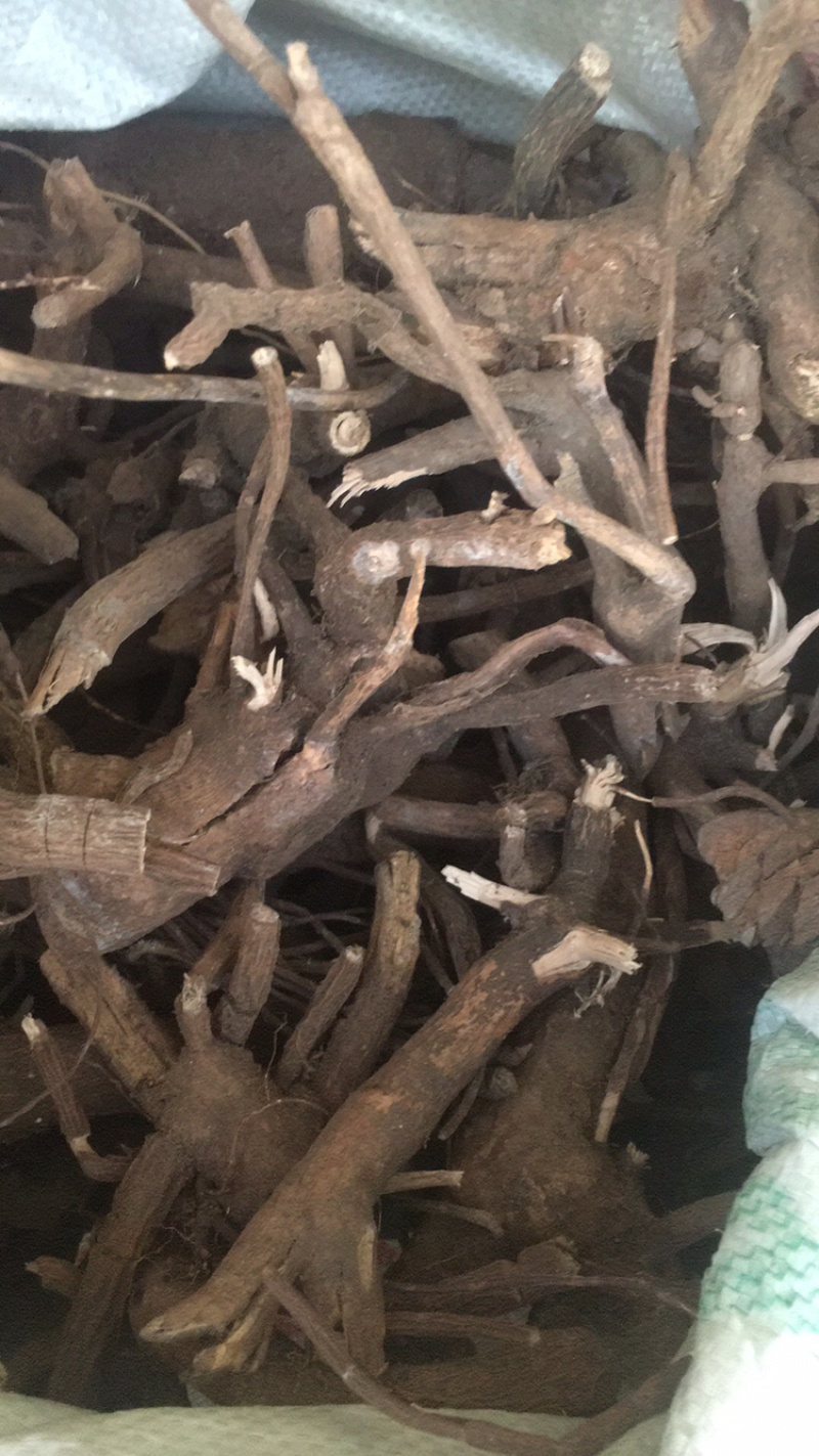 走马胎根走马胎根部无硫量大包邮