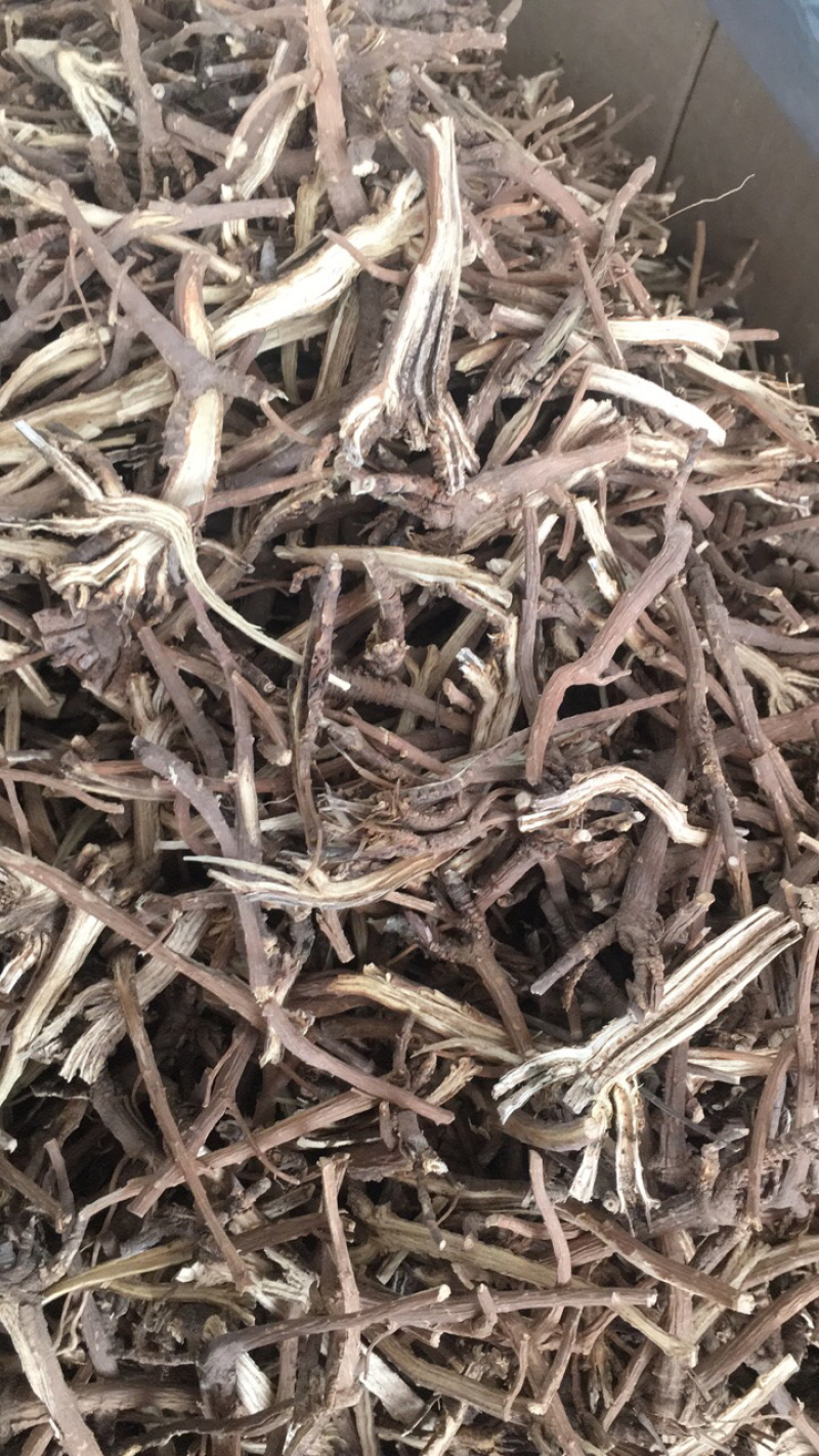 柴胡根