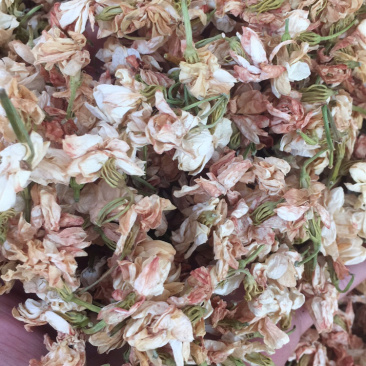 茉莉花
