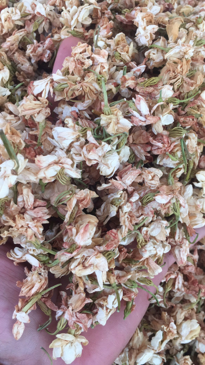 茉莉花