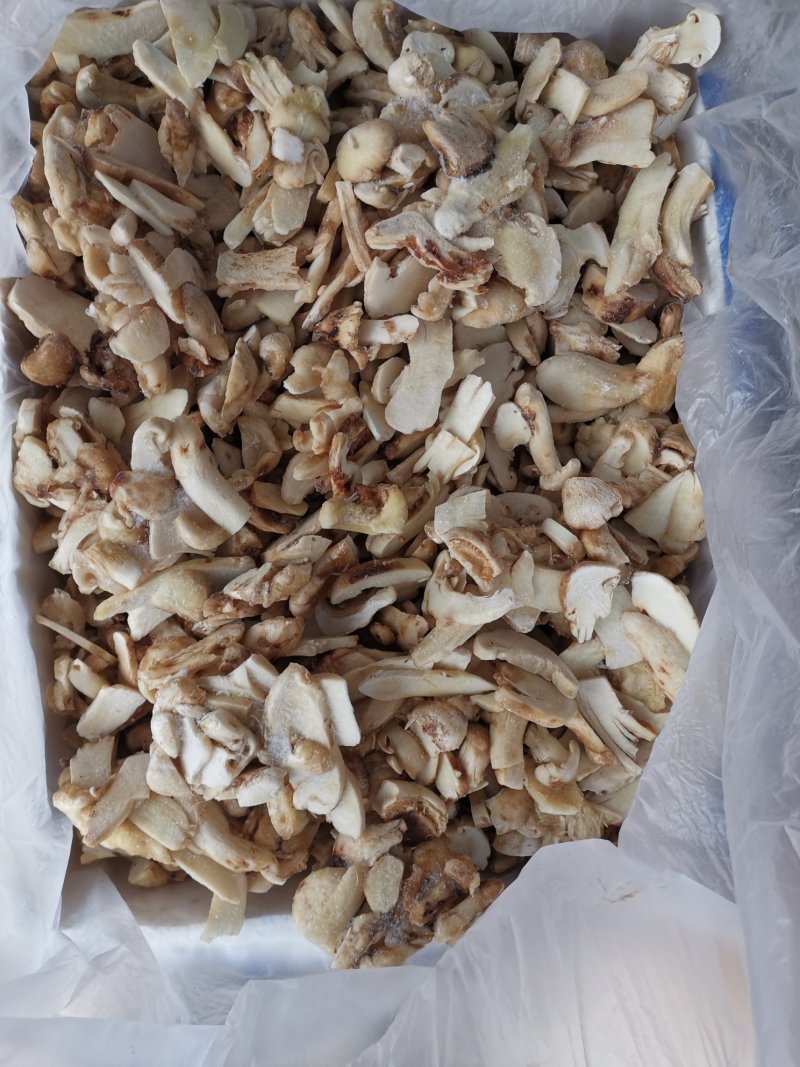 冰冻香格里拉松茸云南特产松茸菌菇