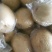 鸭梨膜袋300--400g