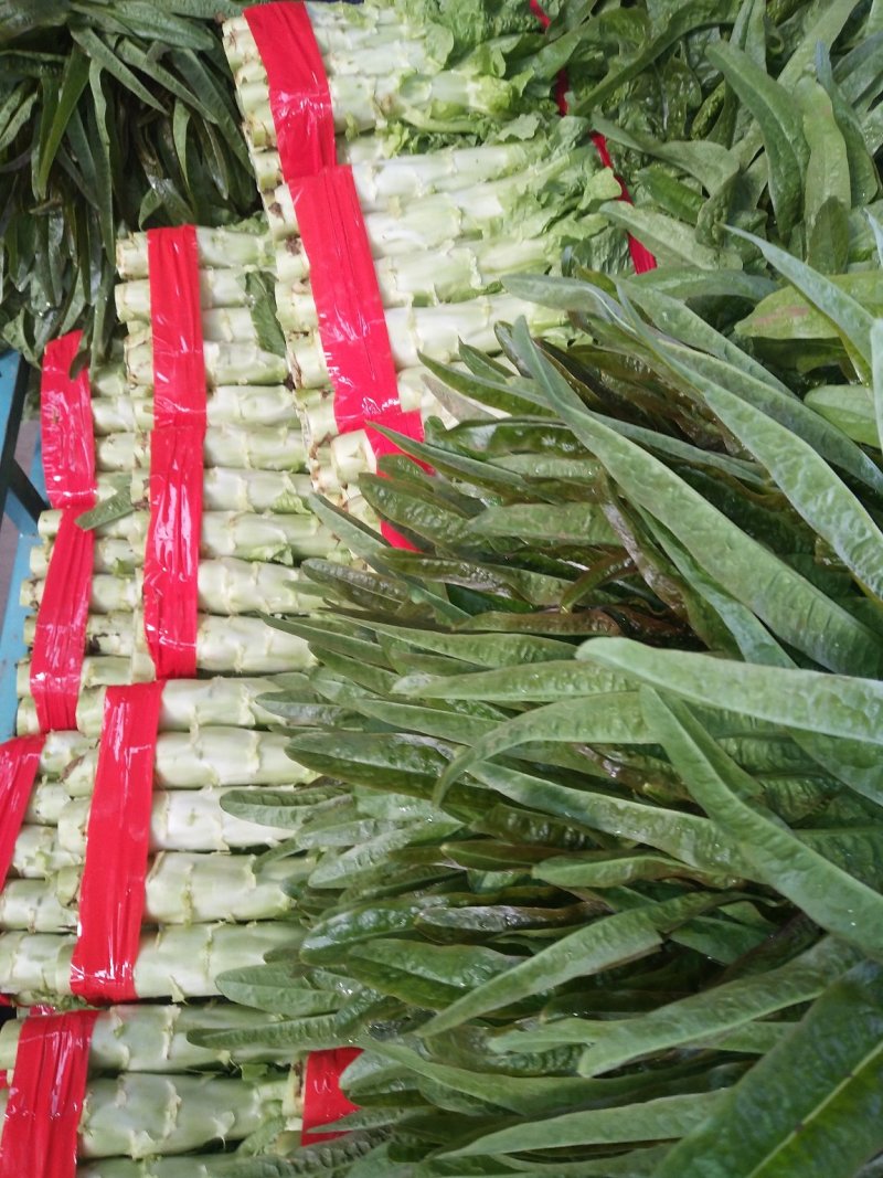 花菜莴笋甘蓝上市货源充足