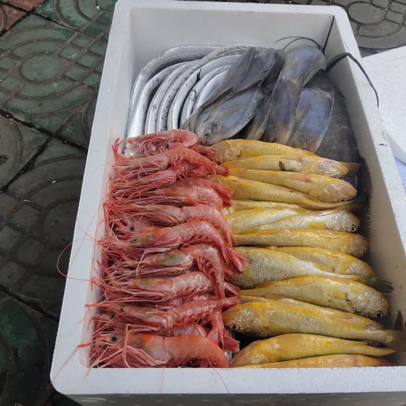 生猛海鲜