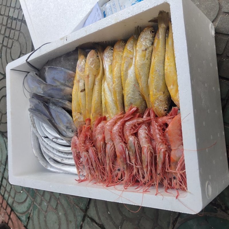 生猛海鲜