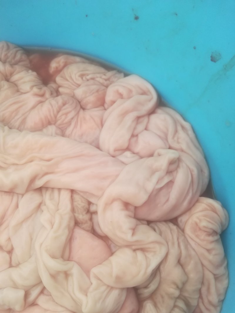 新鲜猪大肠不支持退换大量有货价格优惠，可视频看货