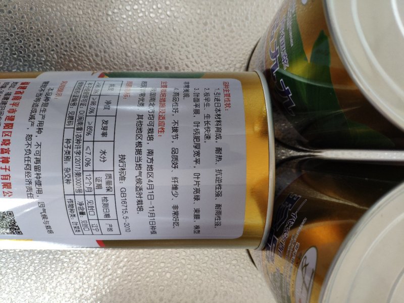 珍品九九青梗菜青菜种籽
