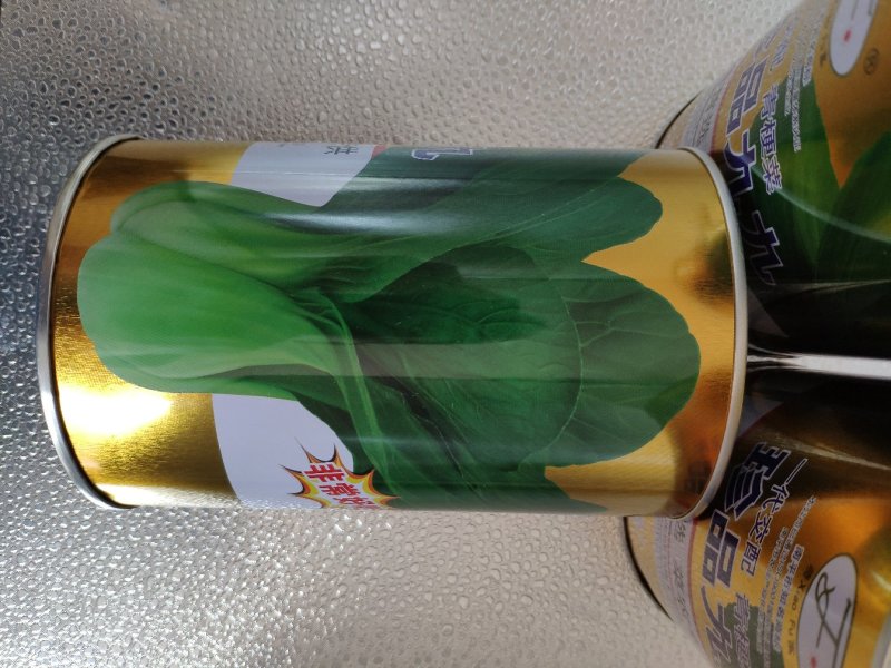 珍品九九青梗菜青菜种籽