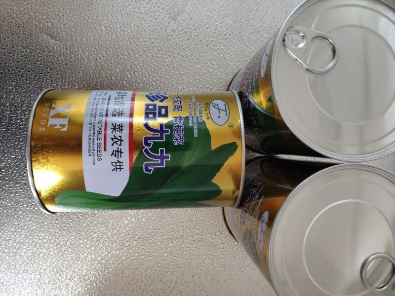 珍品九九青梗菜青菜种籽