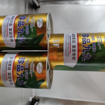 珍品九九青梗菜青菜种籽