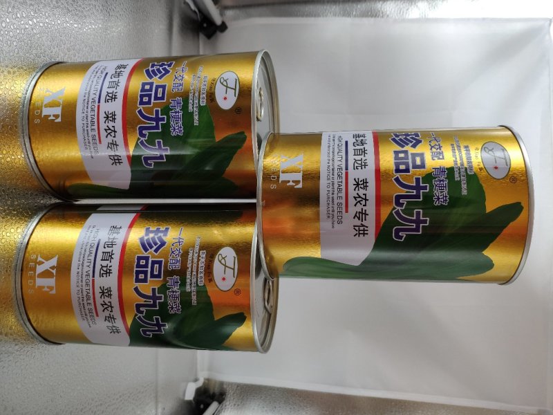 珍品九九青梗菜青菜种籽
