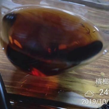广西梧州六堡镇茶厂六堡茶