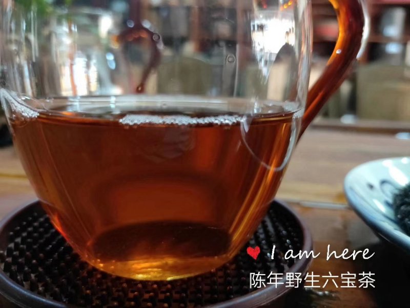 广西梧州六堡镇茶厂六堡茶