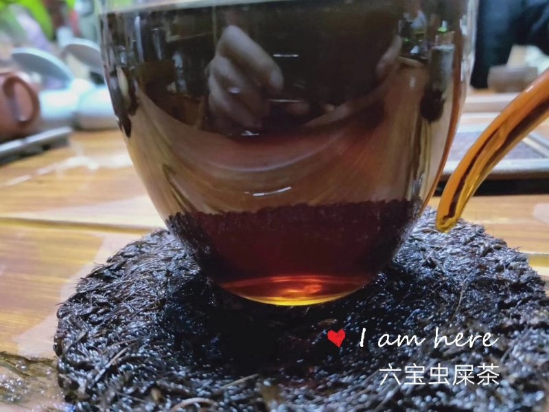 广西梧州六堡镇茶厂六堡茶