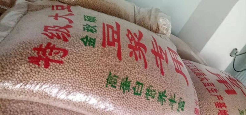 豆制品