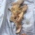 猪头皮