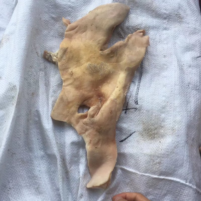 猪头皮