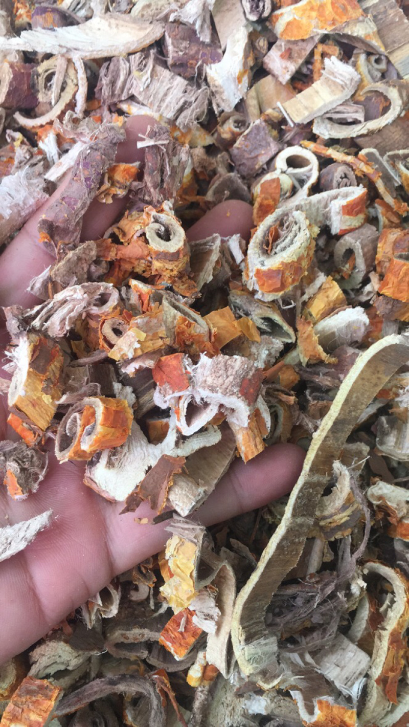 桑白皮桑白皮条桑白皮丝量大包邮