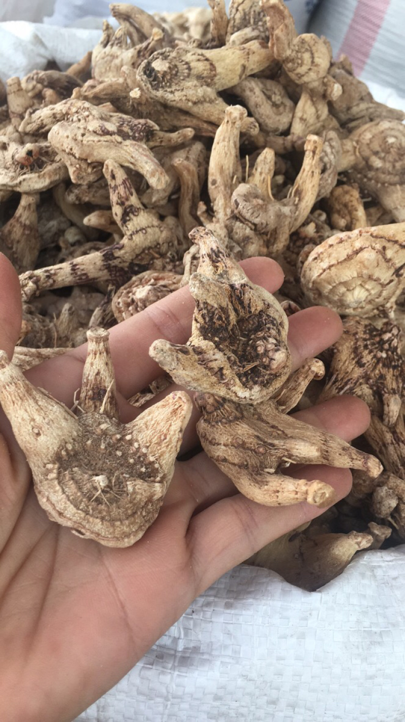 白芨白芨个子野生都有货白芨片家种