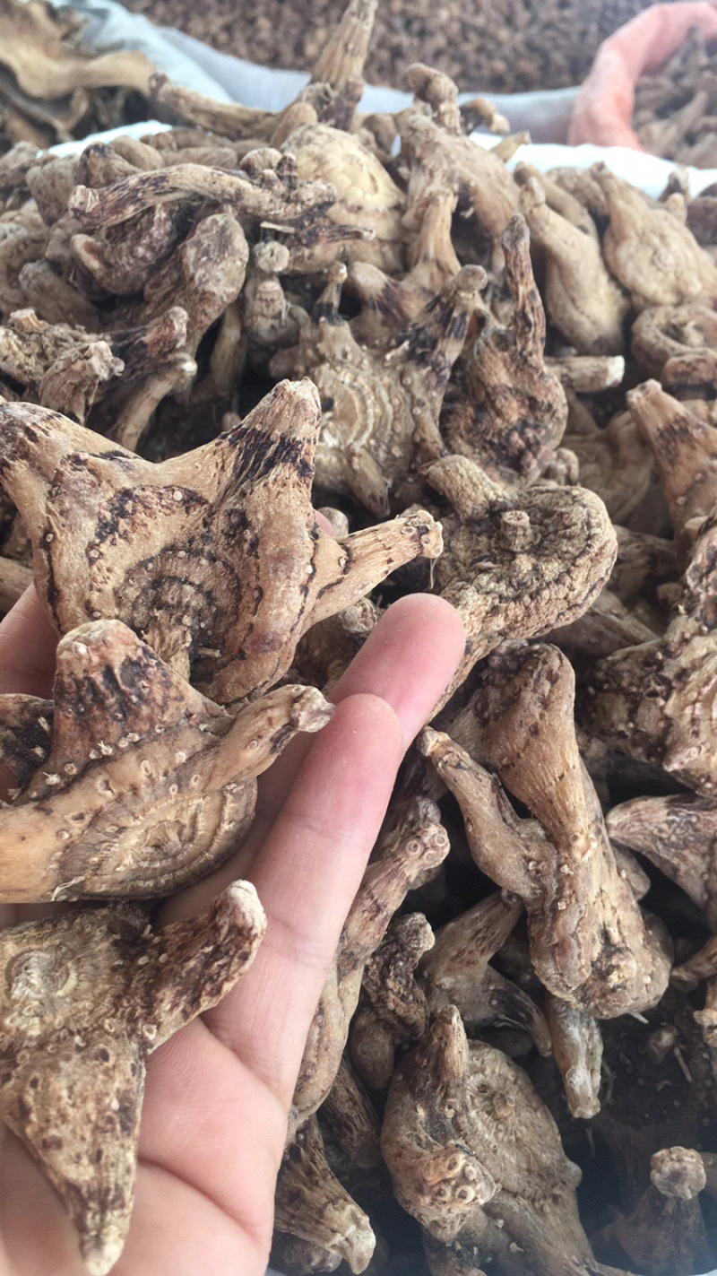 白芨白芨个子野生都有货白芨片家种