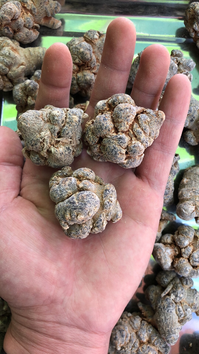 云南文山三七产地直销（精选）文山三七（田七）可磨粉