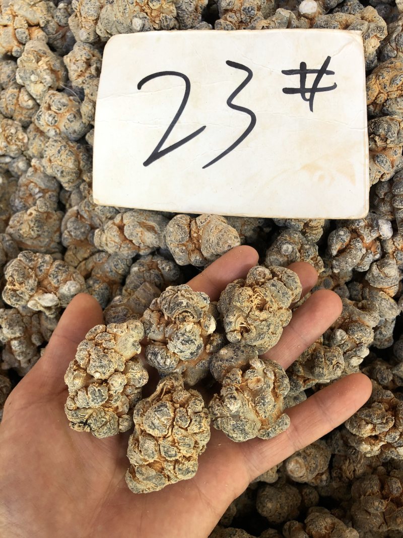云南文山三七产地直销（精选）文山三七（田七）可磨粉