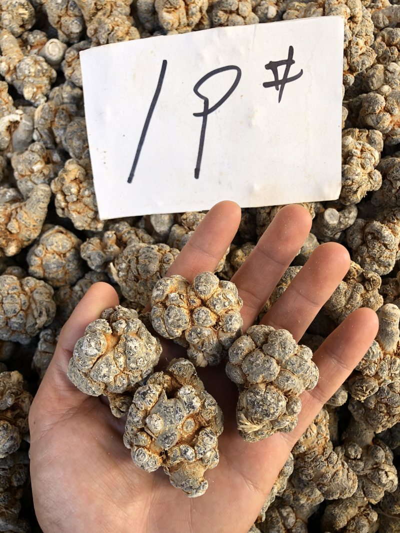 云南文山三七产地直销（精选）文山三七（田七）可磨粉