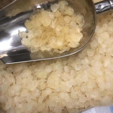 皂角米