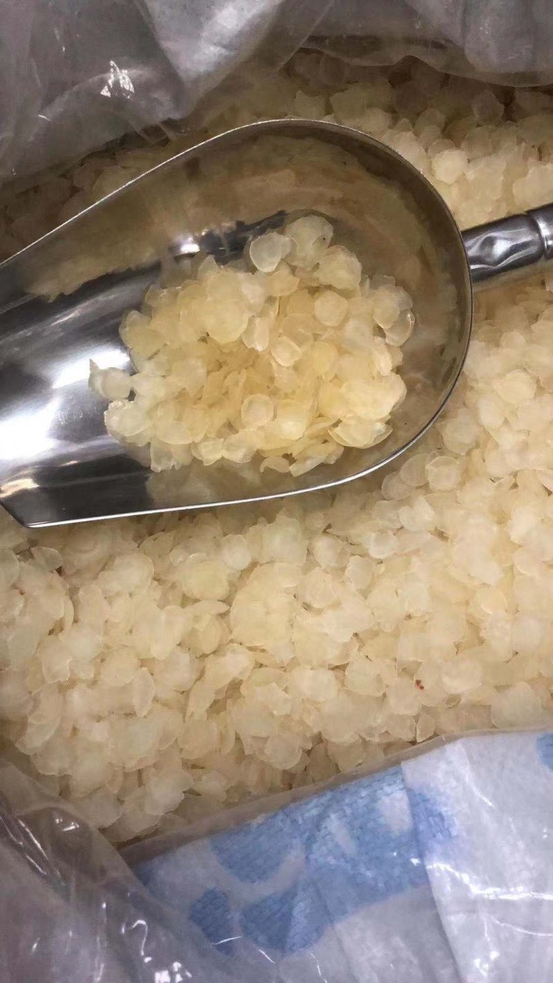 皂角米