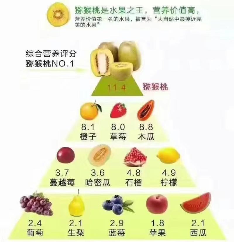 红心猕猴桃苗0.6~0.8cm30~35cm嫁接苗