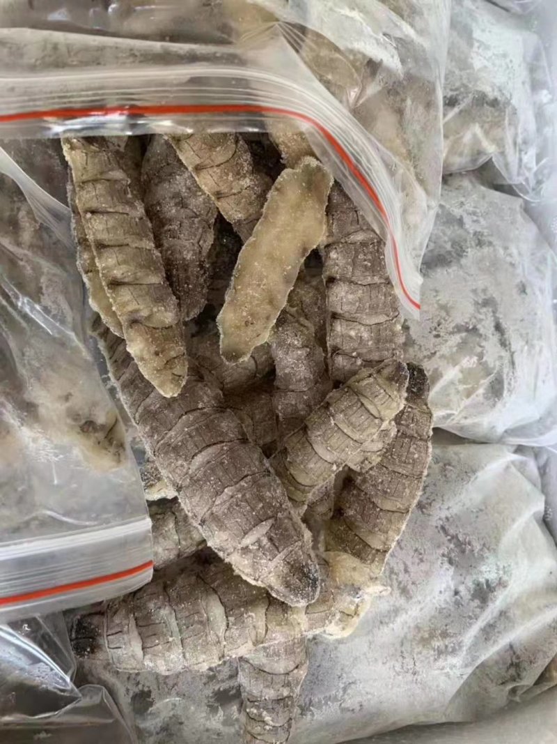 虾爬肉，皮皮虾肉，爬虾肉，虾爬肉生冻虾爬肉，熟冻皮皮虾肉