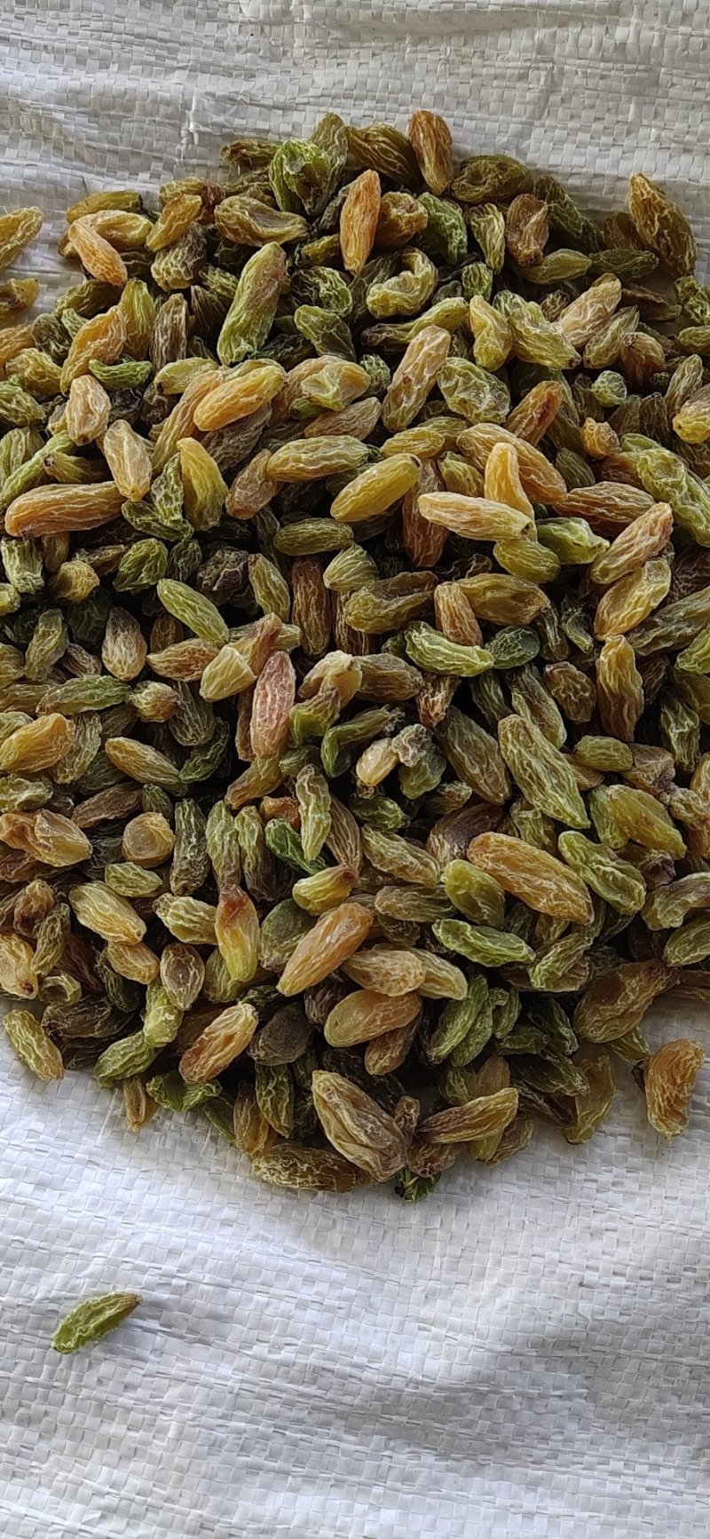 葡萄干产地直发绿宝石，树上黄绿葡萄干，