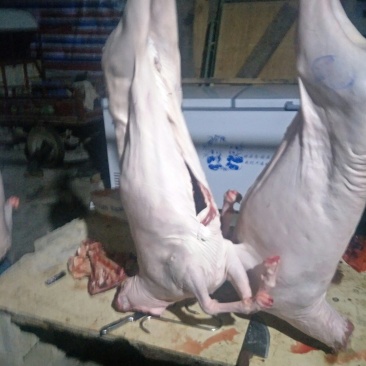 新鲜羊肉