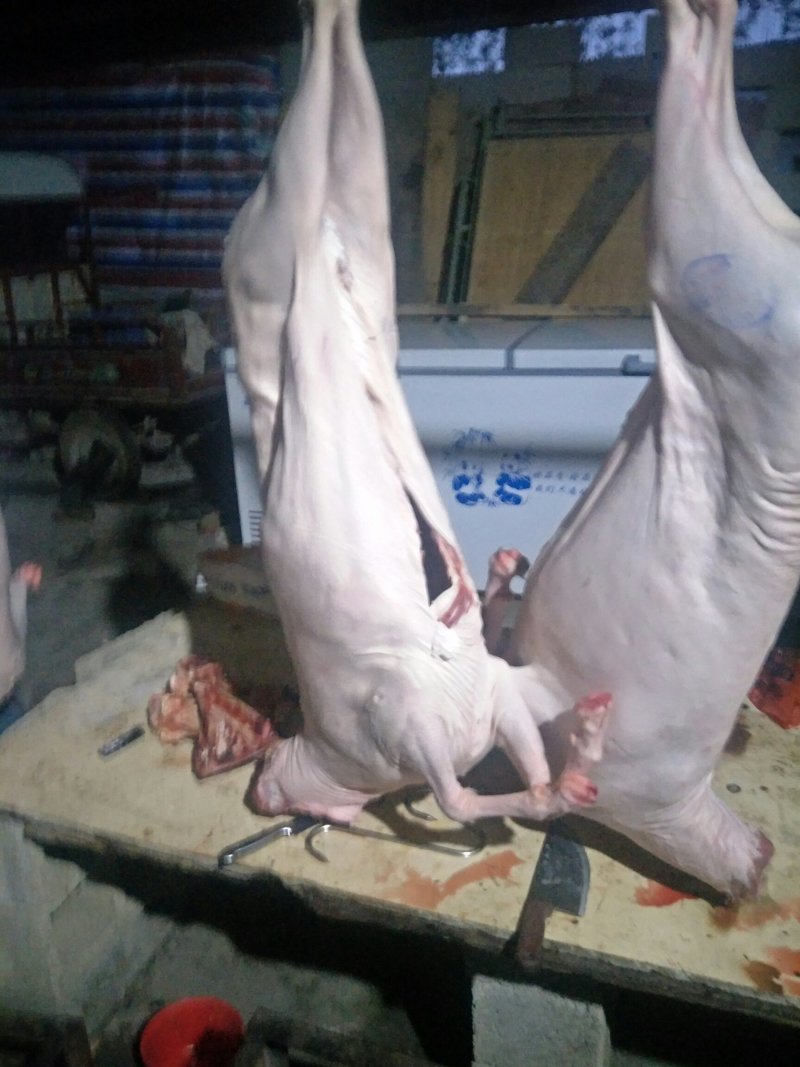 新鲜羊肉
