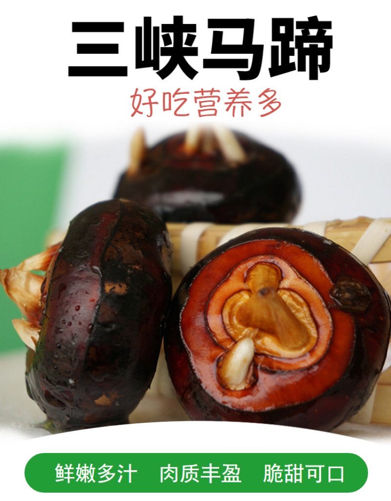 2019年马蹄代发3斤装5斤装开始预售