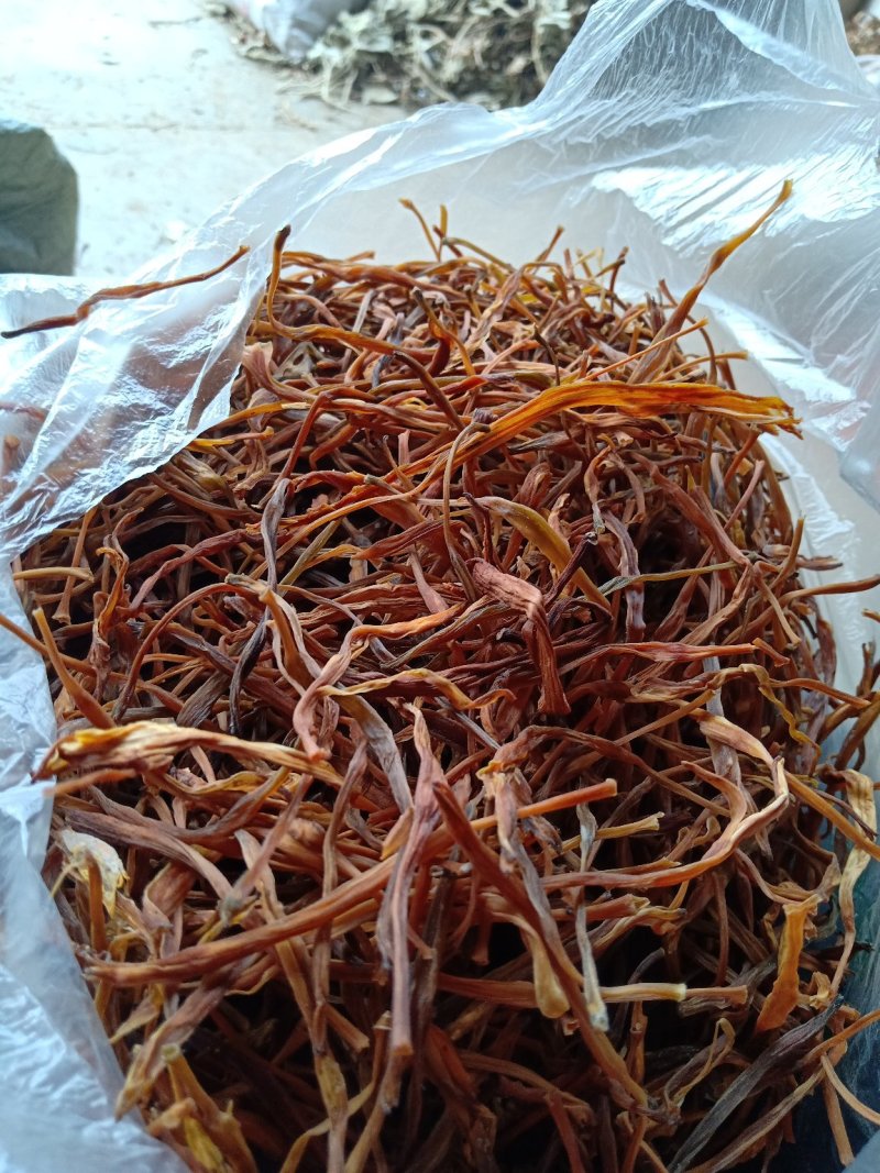 黄花莱野生批发零售菜口感好大山釆摘一手货源产地直发