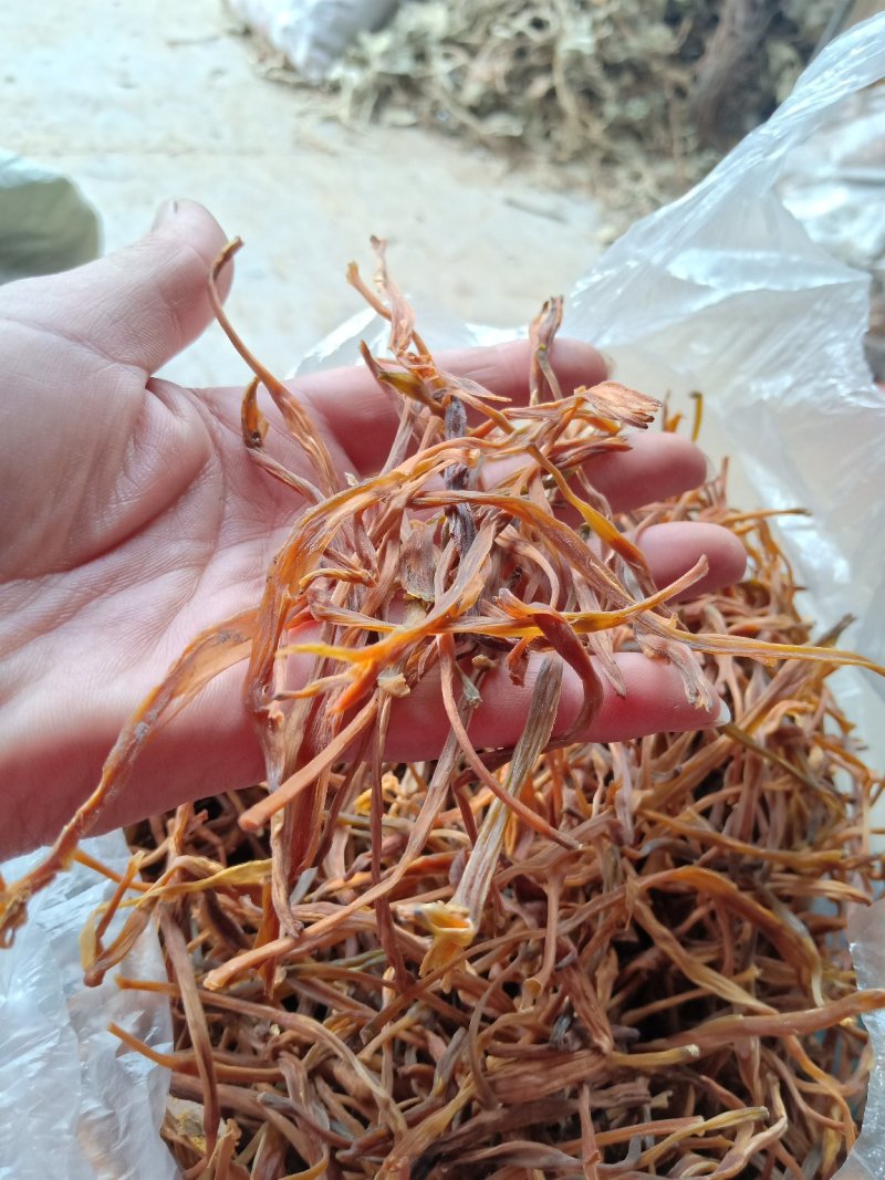 黄花莱野生批发零售菜口感好大山釆摘一手货源产地直发