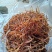 黄花莱野生批发零售菜口感好大山釆摘一手货源产地直发
