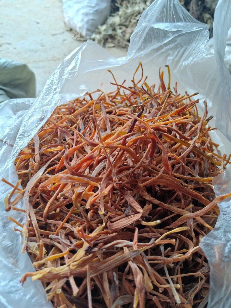 黄花莱野生批发零售菜口感好大山釆摘一手货源产地直发