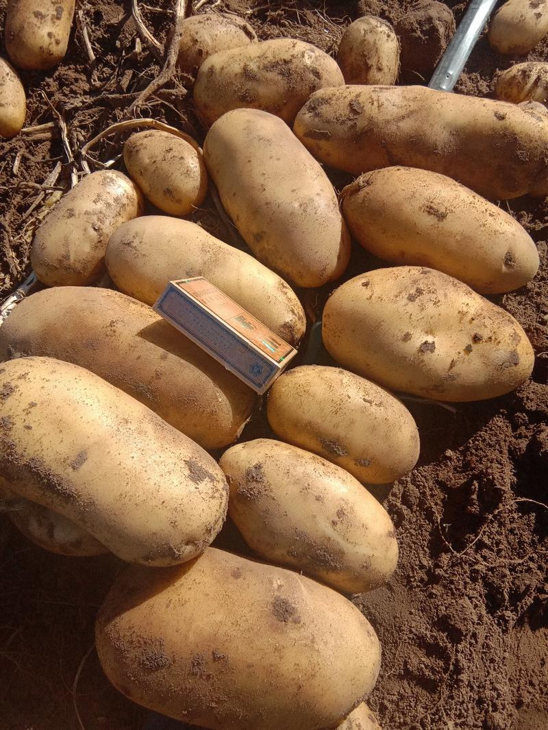 适合电商平台土豆:质量保证价格低，无伤残品种齐全。
