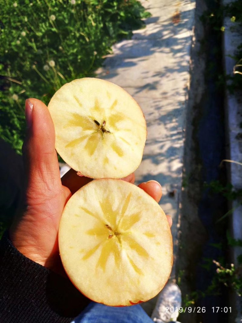 糖心苹果