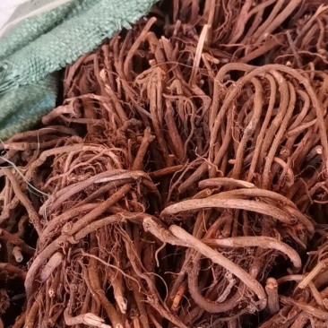 茜根选货