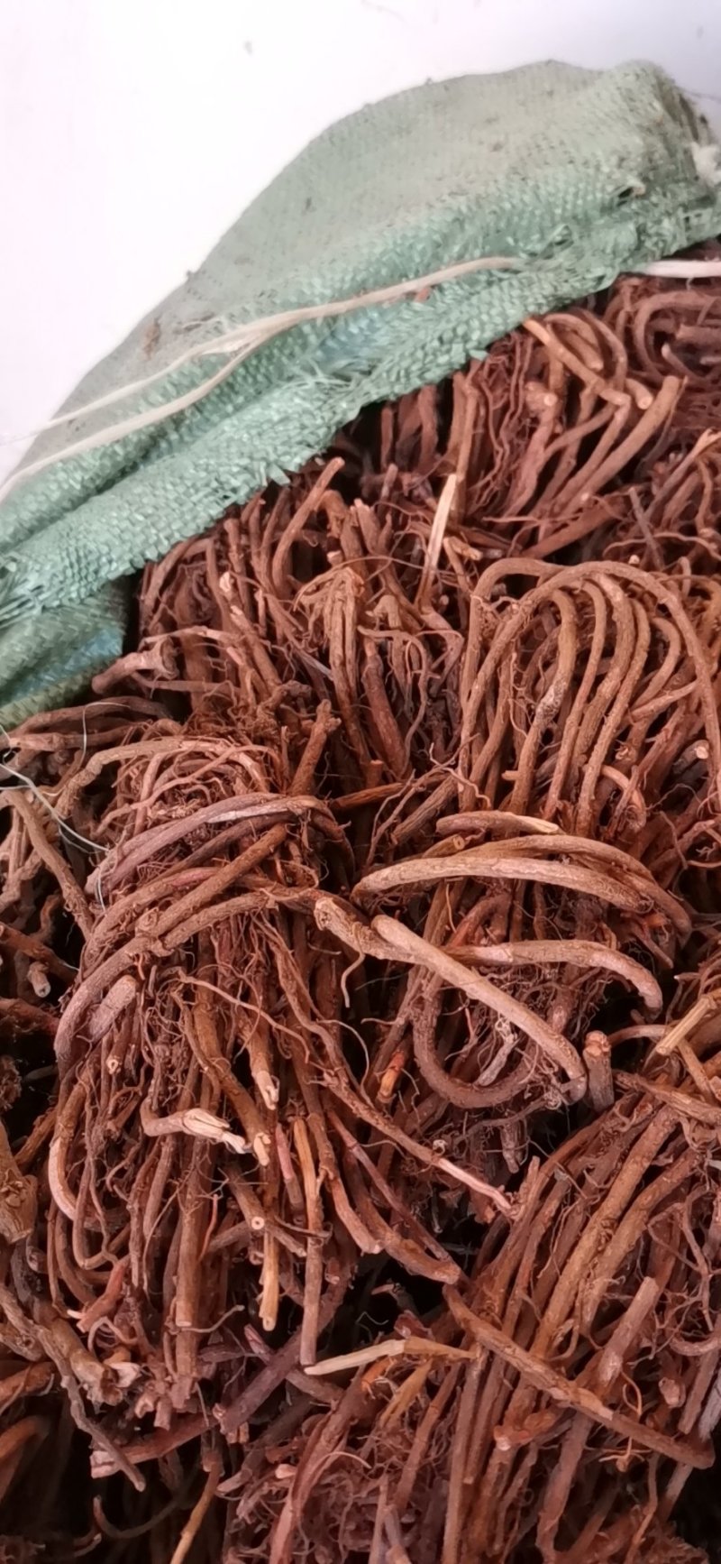 茜根选货