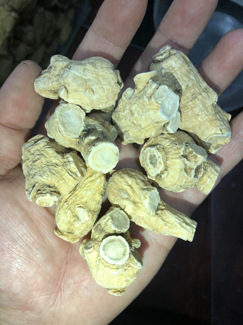 【精品】西洋参花旗参洋参人参产地直发规格齐全