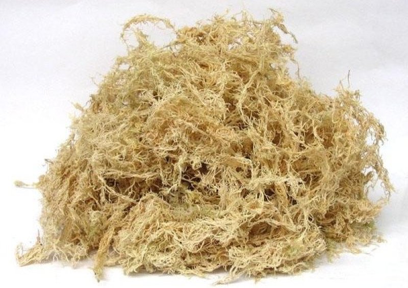 优质水苔批发