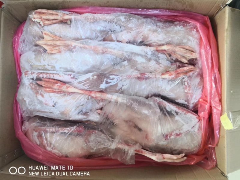 批发条鹅你发大鹅批发东北鹅