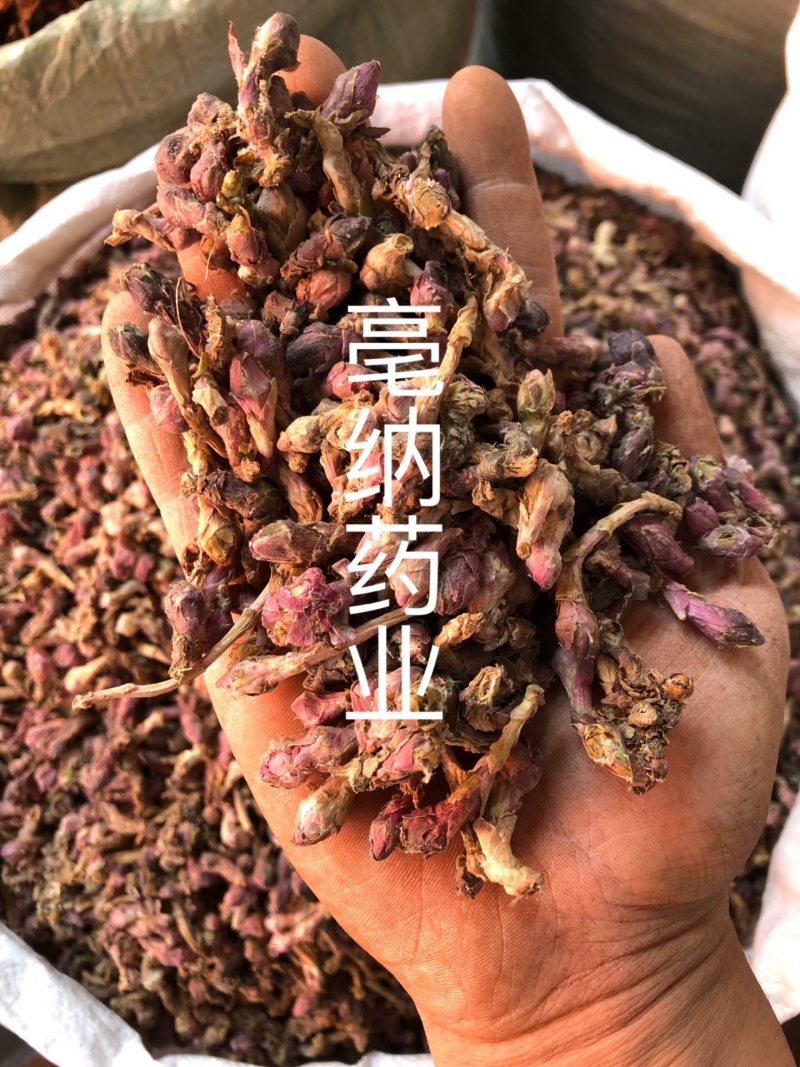 冬花款冬花一公斤起批无硫纯净大货批发