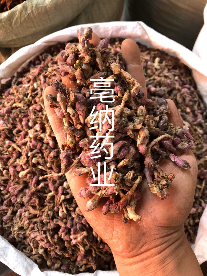 冬花款冬花一公斤起批无硫纯净大货批发