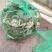 大闸蟹