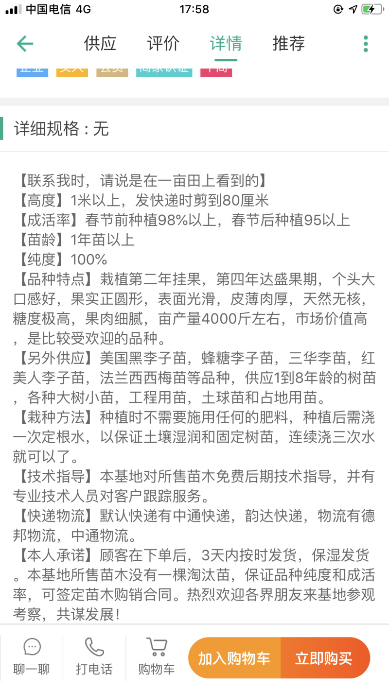 李子苗西梅女神西梅皇后嫁接苗当年结果苗包品种免费指导